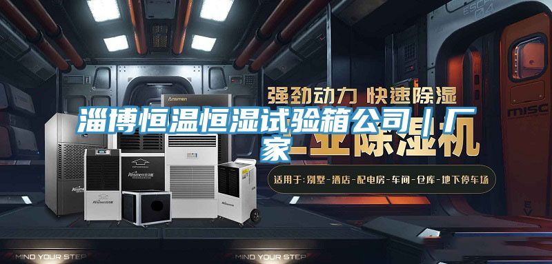 淄博恒温恒湿试验箱公司｜厂家