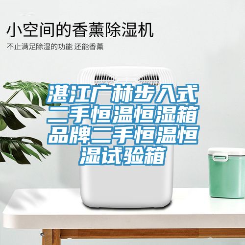 湛江广林步入式二手恒温恒湿箱品牌二手恒温恒湿试验箱