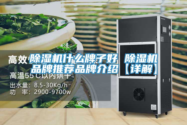 除湿机什么牌子好 除湿机品牌推荐品牌介绍【详解】