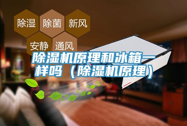 除湿机原理和冰箱一样吗（除湿机原理）