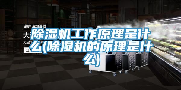 除湿机工作原理是什么(除湿机的原理是什么)