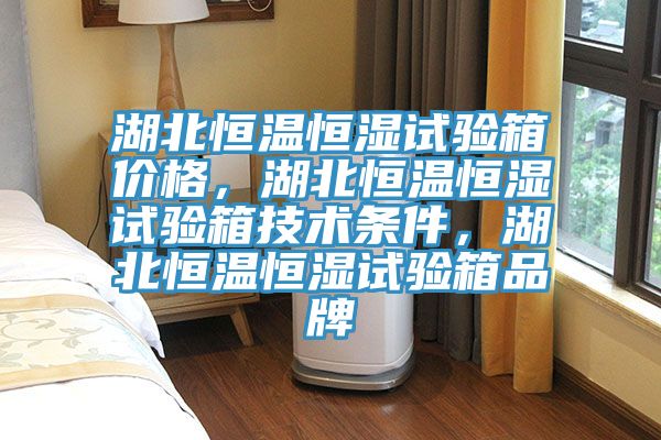 湖北恒温恒湿试验箱价格，湖北恒温恒湿试验箱技术条件，湖北恒温恒湿试验箱品牌