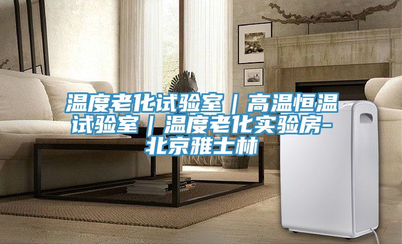 温度老化试验室｜高温恒温试验室｜温度老化实验房-北京雅士林