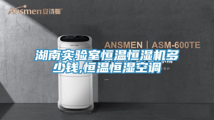 湖南实验室恒温恒湿机多少钱,恒温恒湿空调