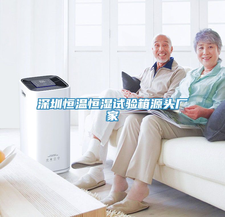深圳恒温恒湿试验箱源头厂家