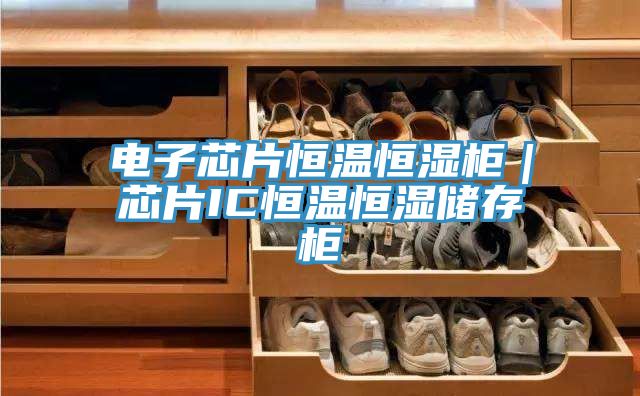 电子芯片恒温恒湿柜｜芯片IC恒温恒湿储存柜