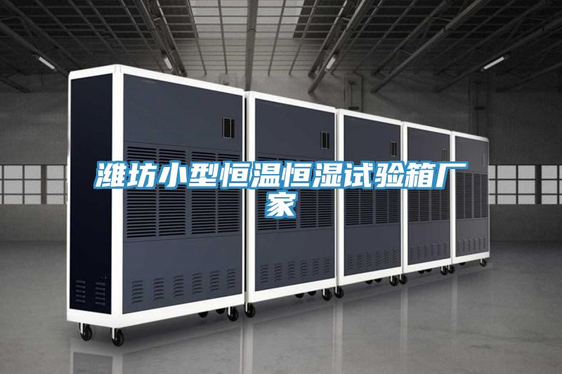 潍坊小型恒温恒湿试验箱厂家