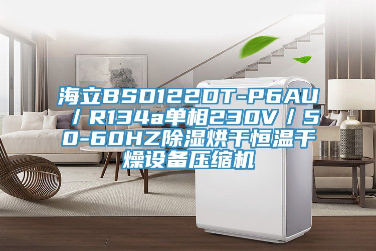 海立BSD122DT-P6AU／R134a单相230V／50-60HZ除湿烘干恒温干燥设备压缩机