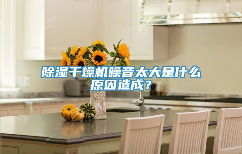除湿干燥机噪音太大是什么原因造成？