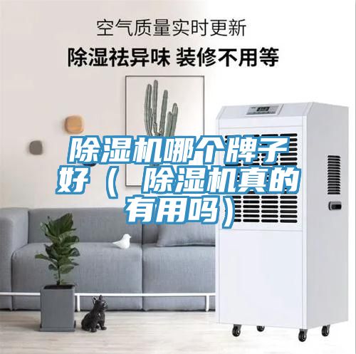 除湿机哪个牌子好（ 除湿机真的有用吗）