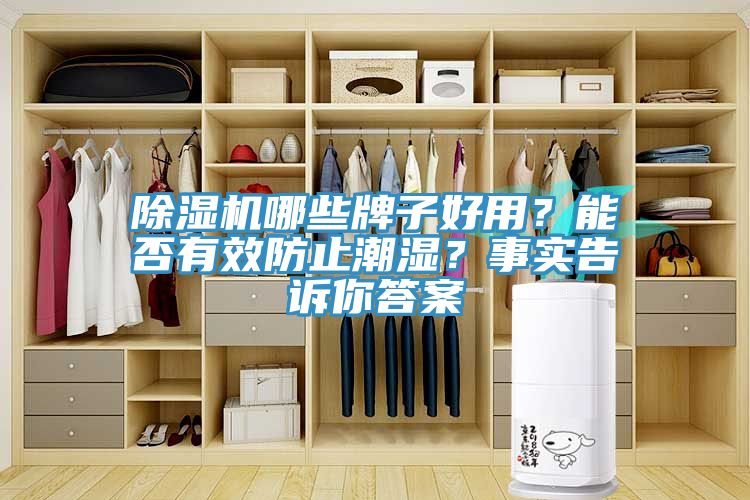 除湿机哪些牌子好用？能否有效防止潮湿？事实告诉你答案