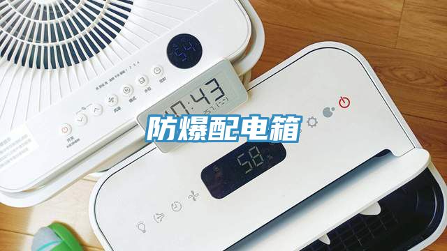 防爆配电箱