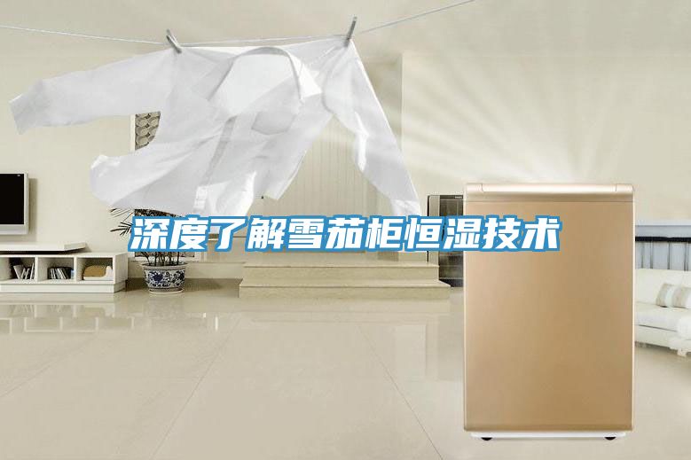 深度了解雪茄柜恒湿技术