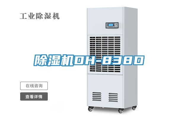 除湿机DH-838D