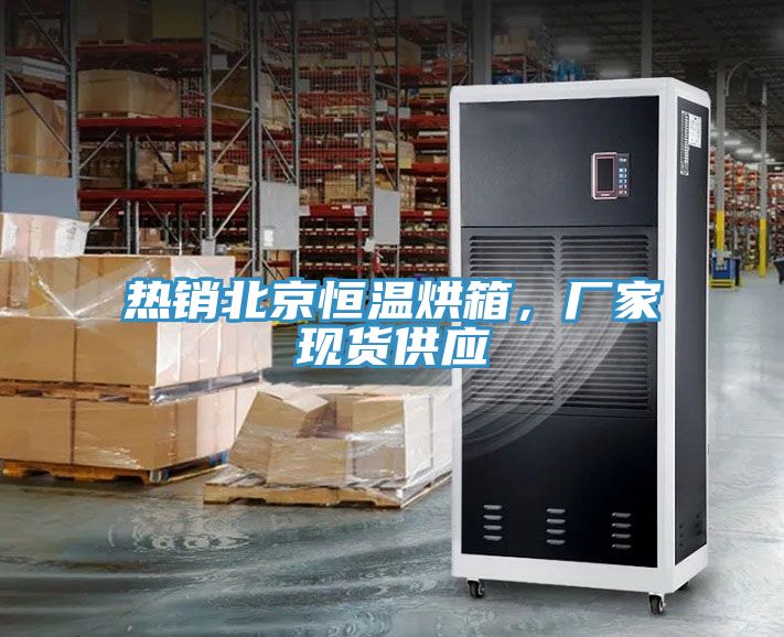 热销北京恒温烘箱，厂家现货供应