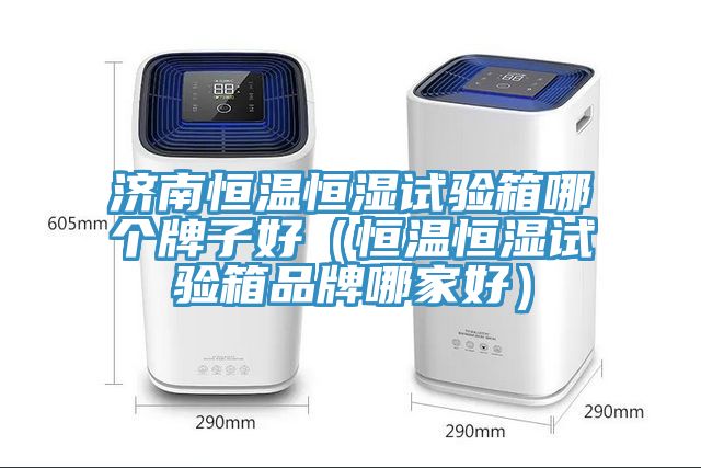 济南恒温恒湿试验箱哪个牌子好（恒温恒湿试验箱品牌哪家好）