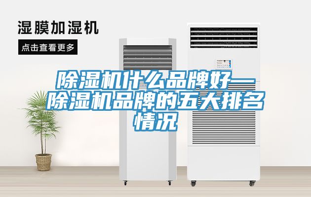 除湿机什么品牌好—除湿机品牌的五大排名情况
