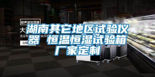 湖南其它地区试验仪器 恒温恒湿试验箱厂家定制