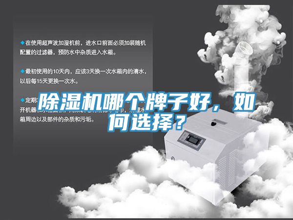 除湿机哪个牌子好，如何选择？