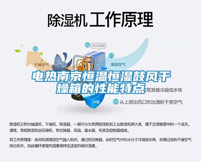 电热南京恒温恒湿鼓风干燥箱的性能特点