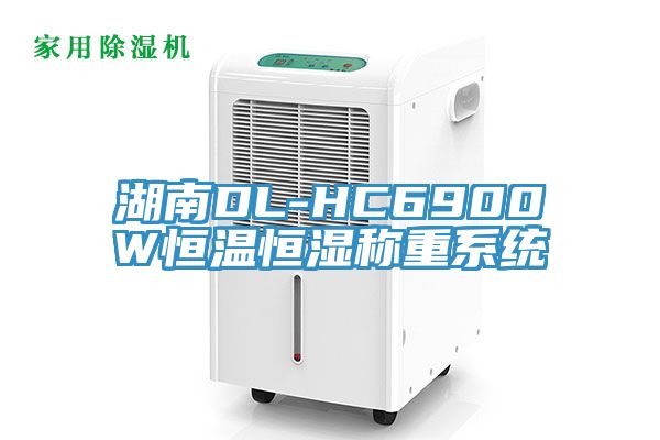 湖南DL-HC6900W恒温恒湿称重系统