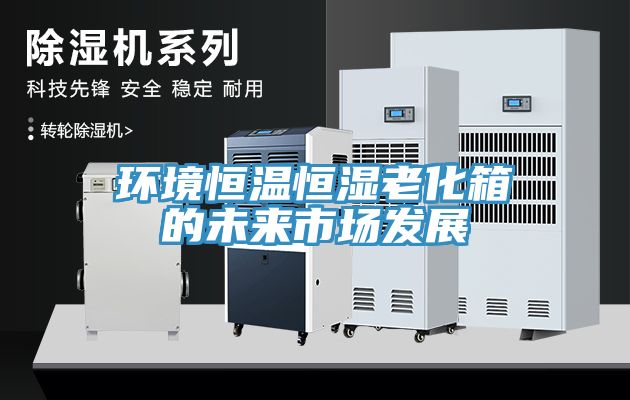 环境恒温恒湿老化箱的未来市场发展