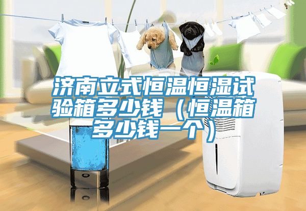 济南立式恒温恒湿试验箱多少钱（恒温箱多少钱一个）