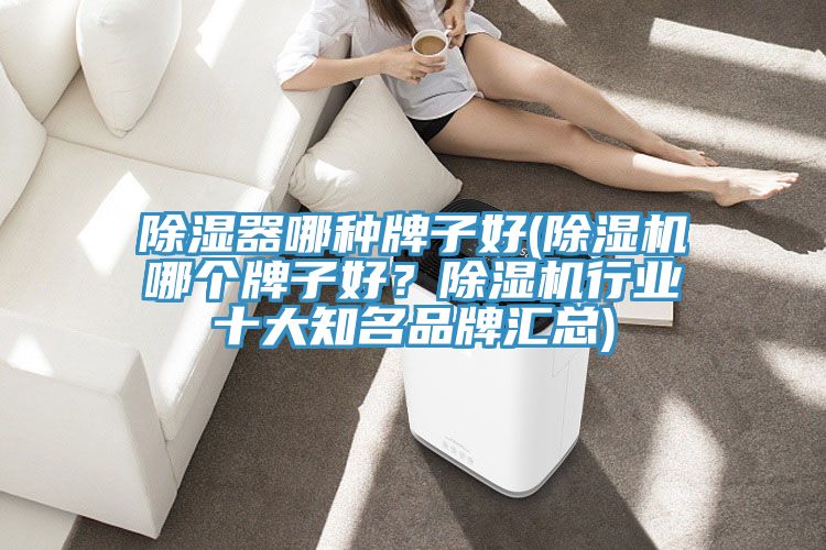 除湿器哪种牌子好(除湿机哪个牌子好？除湿机行业十大知名品牌汇总)
