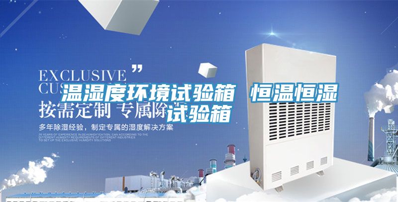 温湿度环境试验箱 恒温恒湿试验箱