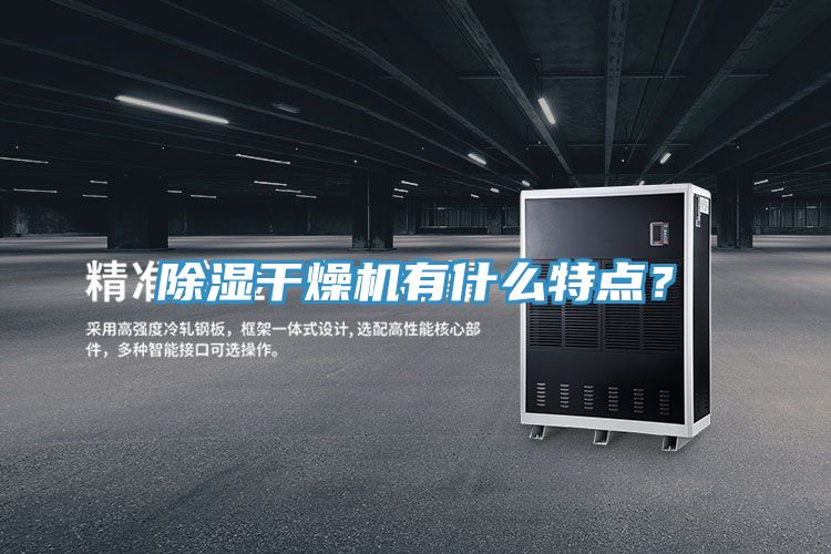 除湿干燥机有什么特点？