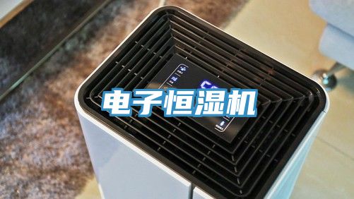 电子恒湿机