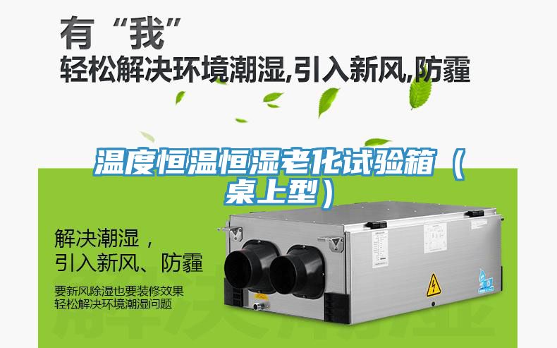 温度恒温恒湿老化试验箱（桌上型）