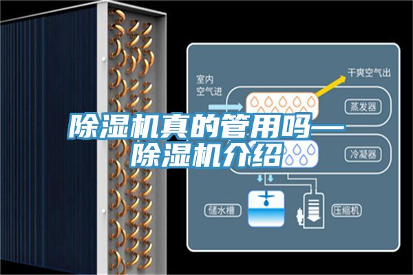 除湿机真的管用吗—除湿机介绍