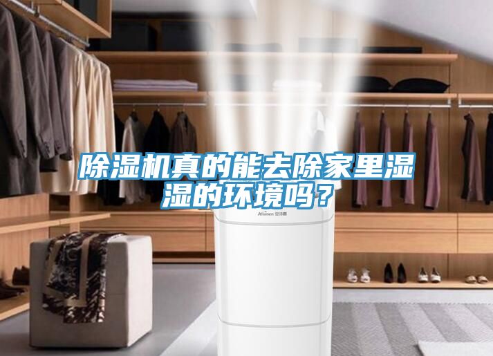 除湿机真的能去除家里湿湿的环境吗？