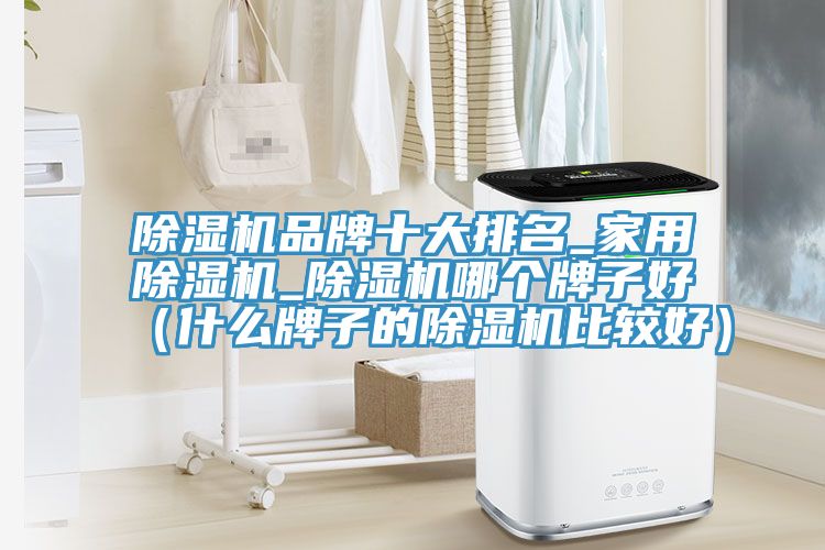 除湿机品牌十大排名_家用除湿机_除湿机哪个牌子好（什么牌子的除湿机比较好）