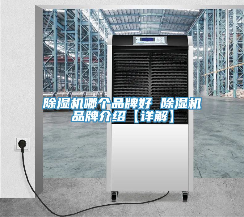 除湿机哪个品牌好 除湿机品牌介绍【详解】