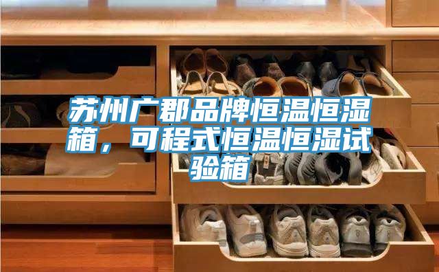 苏州广郡品牌恒温恒湿箱，可程式恒温恒湿试验箱