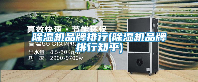 除湿机品牌排行(除湿机品牌排行知乎)
