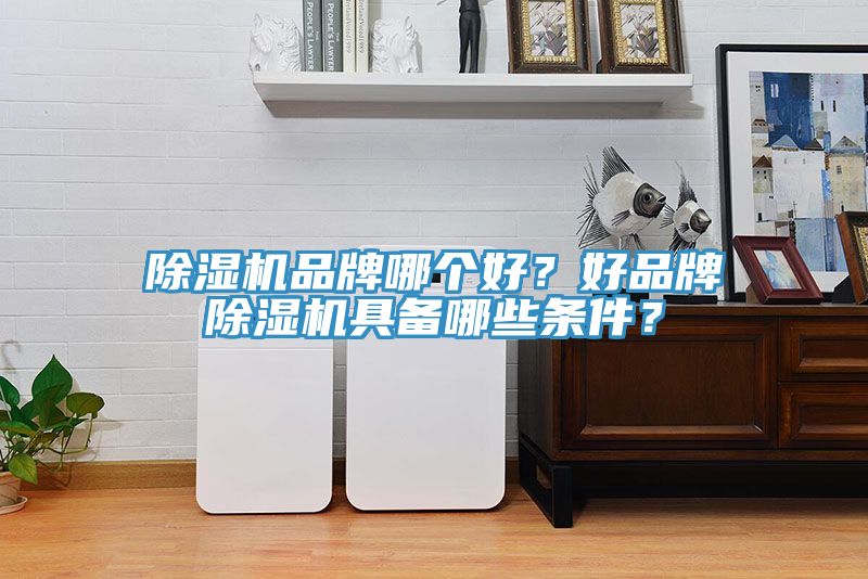 除湿机品牌哪个好？好品牌除湿机具备哪些条件？