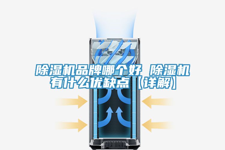 除湿机品牌哪个好 除湿机有什么优缺点【详解】