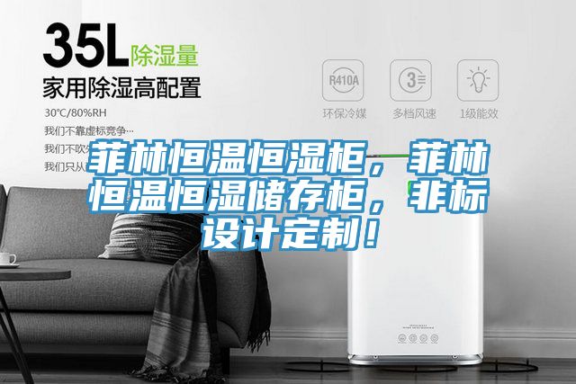 菲林恒温恒湿柜，菲林恒温恒湿储存柜，非标设计定制！