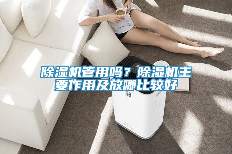 除湿机管用吗？除湿机主要作用及放哪比较好