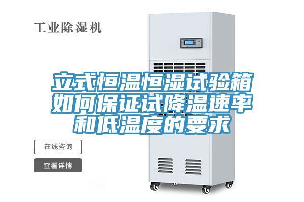 立式恒温恒湿试验箱如何保证试降温速率和低温度的要求
