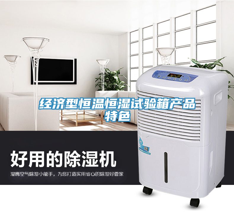 经济型恒温恒湿试验箱产品特色