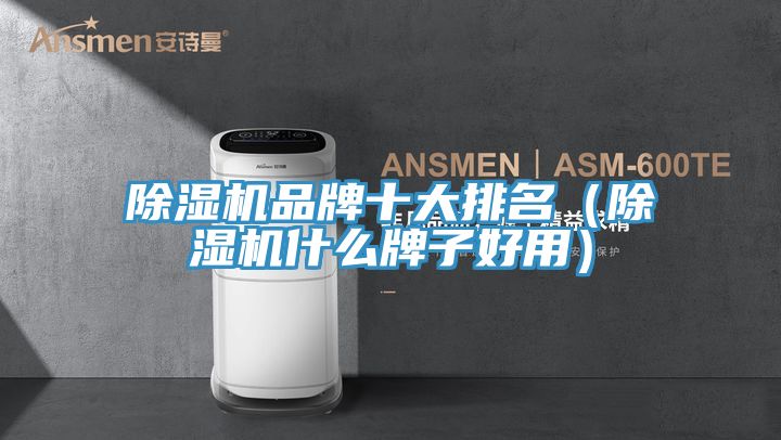 除湿机品牌十大排名（除湿机什么牌子好用）