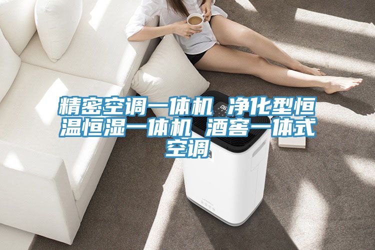 精密空调一体机 净化型恒温恒湿一体机 酒窖一体式空调