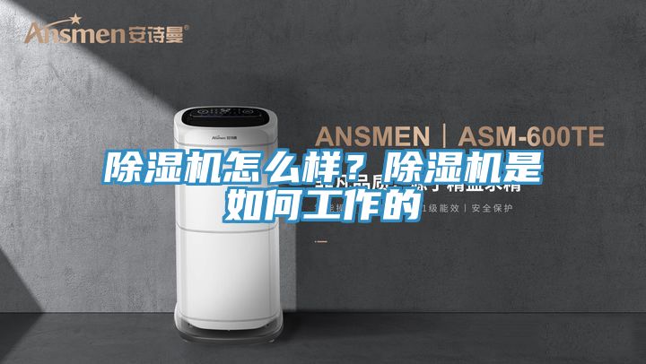 除湿机怎么样？除湿机是如何工作的