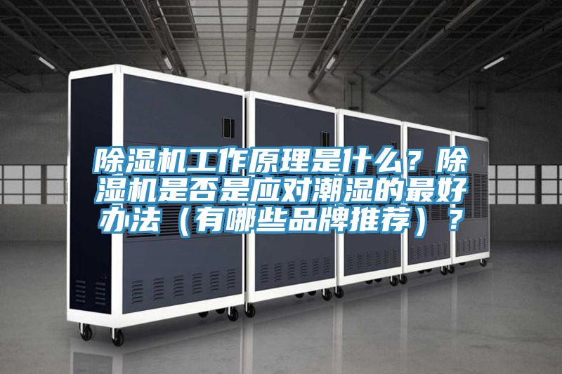 除湿机工作原理是什么？除湿机是否是应对潮湿的最好办法（有哪些品牌推荐）？
