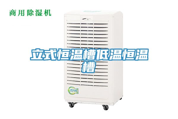 立式恒温槽低温恒温槽
