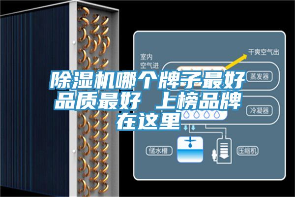 除湿机哪个牌子最好品质最好 上榜品牌在这里